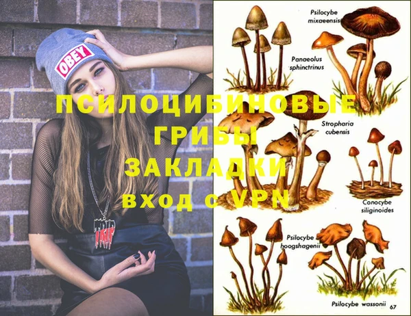 наркотики Вяземский