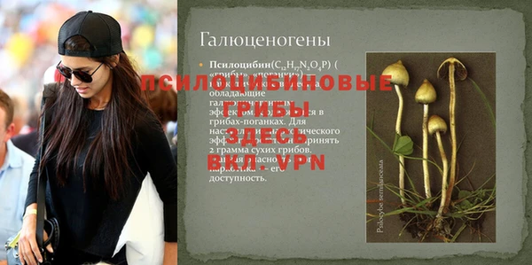 дживик Володарск