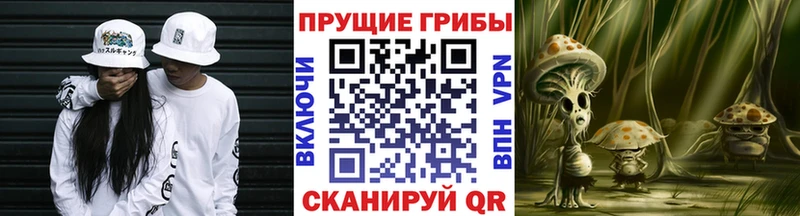где купить наркотик  Карасук  Псилоцибиновые грибы Psilocybine cubensis 